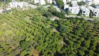 Bodrum Turgutreis'te Şehir Manzaralı 18.000 m² Arsa · Fotoğraf 5
